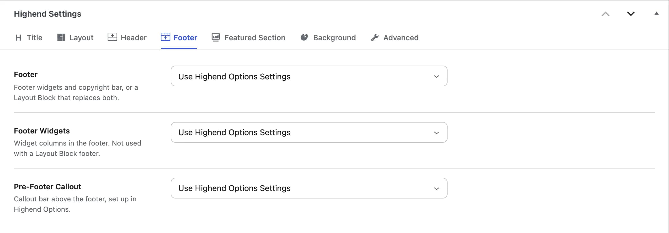The Footer tab